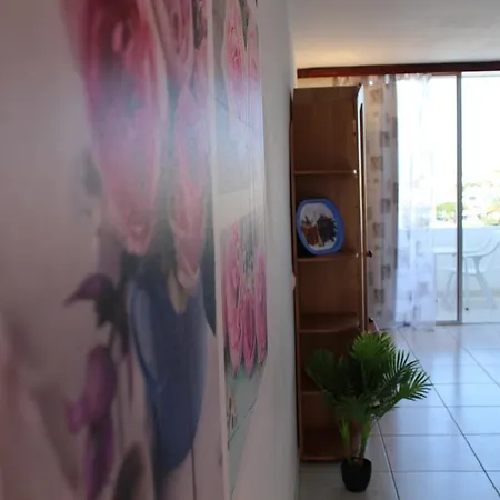 Apartment - Casa Remo *